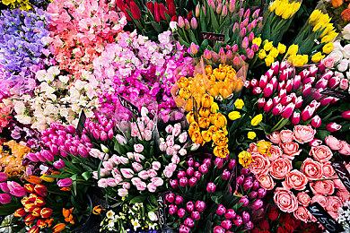 《装甲核心6》Steam 298元 确认有多结局